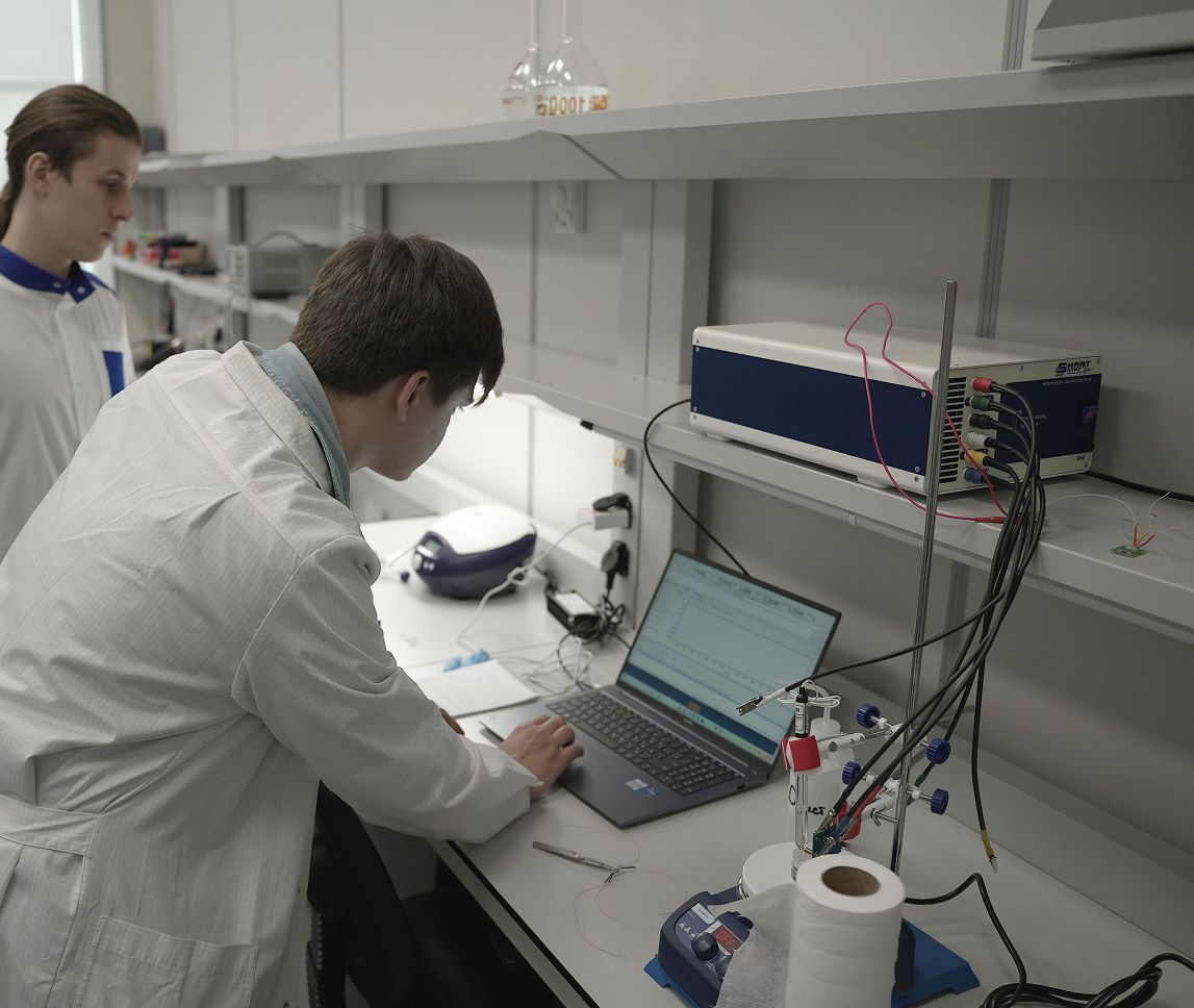 Описание изображения